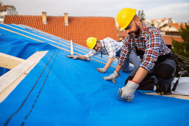 Best Sealant for Roof  in Wamego, KS