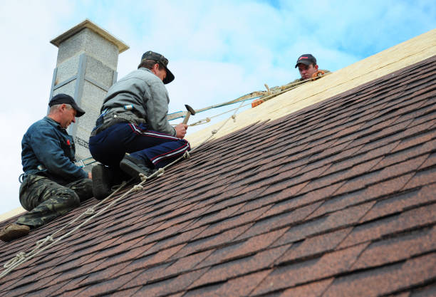 Best Gutter Installation and Roofing  in Wamego, KS