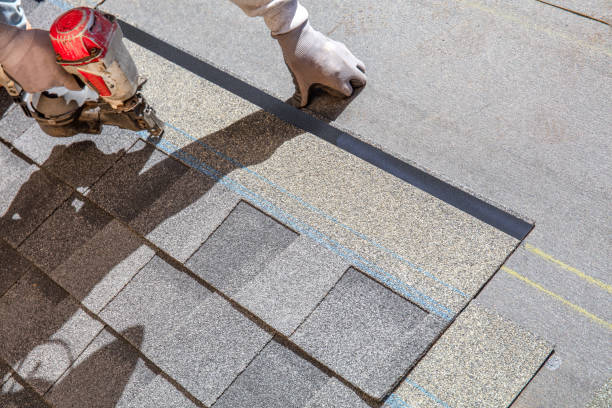 Best Roof Repair Services  in Wamego, KS